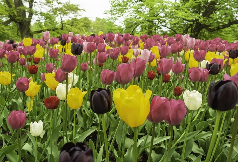 Gardening Groups